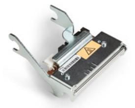 Intermec 710-228S-001 print head